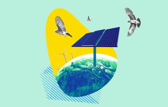 Cockatoos flying around solar panel and wind turbines