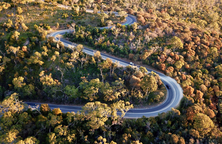 Road winding through forest seen from above